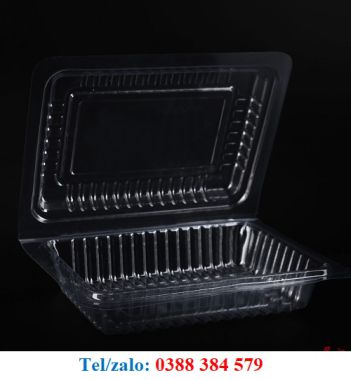 Hộp nhựa đựng cơm